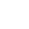 wind icon